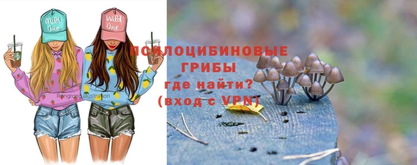 бошки Дмитриев